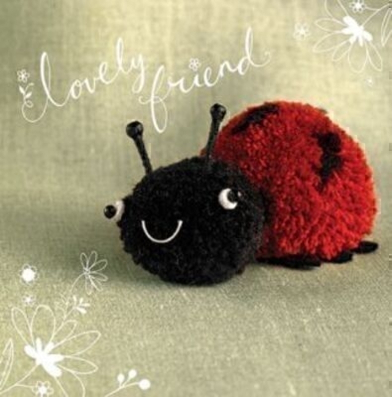 Lovely Friend Card Lily Ladybug by Paper Rose. This quality greeting card is part of the Tiddly Pom Pom range by Paper rose and it depicts a Ladybird made from Pom Poms. Says Lovely Friend on the front and is blank on the inside for your own message. comes with a white envelope. Size 15x15cm